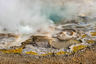 Yellowstone NP 20180124_1677.jpg