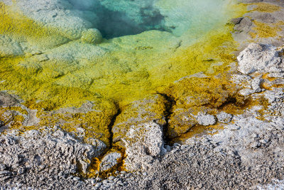 Yellowstone NP 20180124_1681.jpg