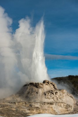 Yellowstone NP 20180124_1709.jpg