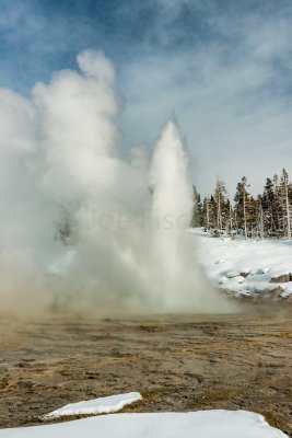 Yellowstone NP 20180124_1741.jpg