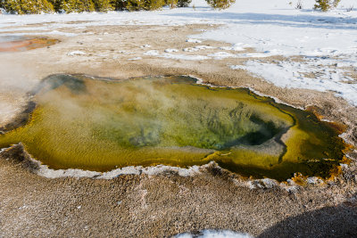 Yellowstone NP 20180124_1762.jpg