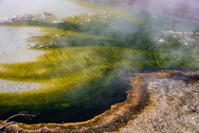 Yellowstone NP 20180124_1810.jpg