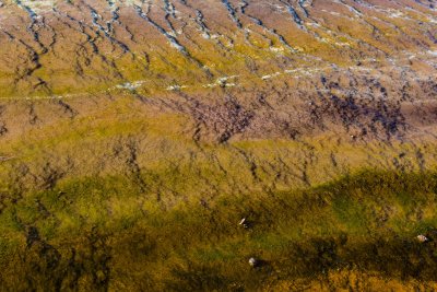 Yellowstone NP 20180124_1822.jpg