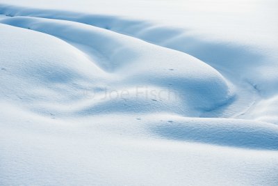 Yellowstone NP 20180124_1834.jpg