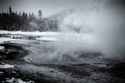 Yellowstone NP 20180125_1863-Edit.jpg