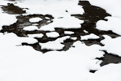 Yellowstone NP 20180125_1885.jpg