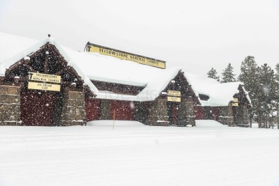 Yellowstone NP 20180125_1894.jpg
