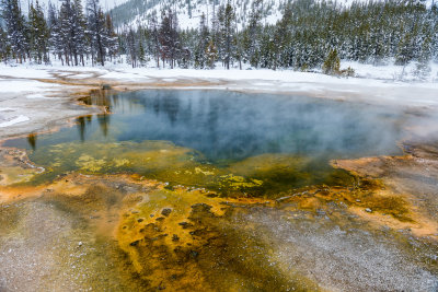 Yellowstone NP 20180125_1883.jpg