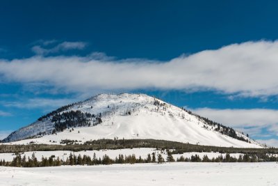 Yellowstone NP 20180126_1911.jpg