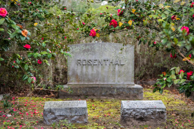Bonaventure Cemetery - Savannah 20180220_0536.jpg