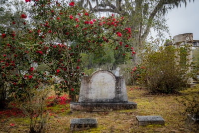 Bonaventure Cemetery - Savannah 20180220_0539.jpg