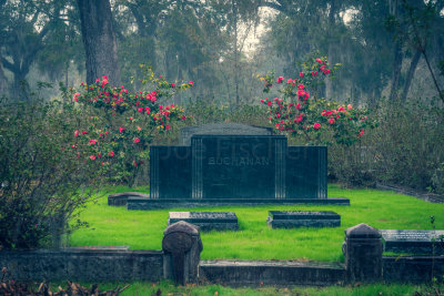 Bonaventure Cemetery - Savannah 20180220_0542.jpg