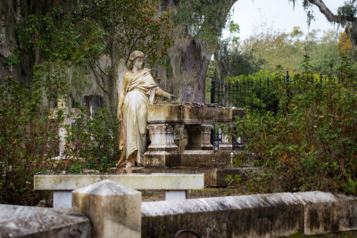 Bonaventure Cemetery - Savannah 20180220_0544.jpg
