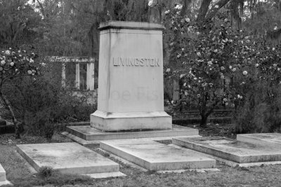 Bonaventure Cemetery - Savannah 20180220_0540.jpg