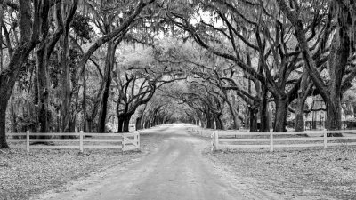 Wormsloe Plantation 20180218_0049.jpg