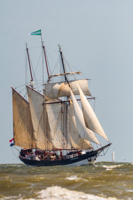 Galveston Tall Ships 20180405_0093.jpg