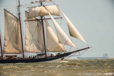 Galveston Tall Ships 20180405_0127.jpg