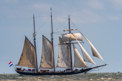 Galveston Tall Ships 20180405_0138.jpg