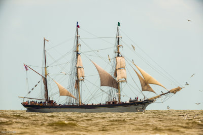 Galveston Tall Ships 20180405_0203.jpg