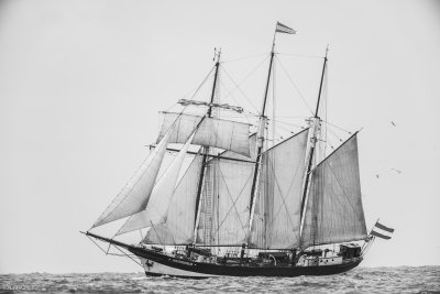 Galveston Tall Ships 20180405_0338.jpg