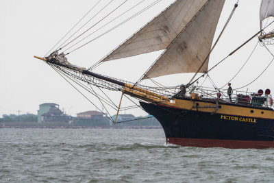 g10/49/778549/3/167310175.7HoXkAlU.jpg