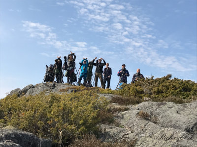 White-winged Scoter  - twitchers