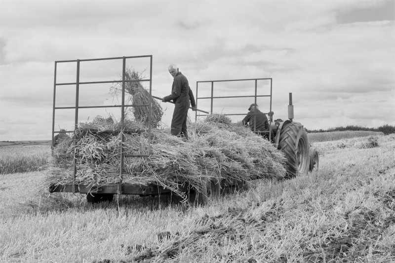 2017 South Hams Vintage Machinery Show