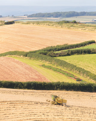 Week 31 - Harvesting at Motherhill Farm 06-08-17 2.jpg