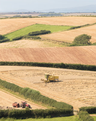 Week 31 - Harvesting at Motherhill Farm 06-08-17 3.jpg