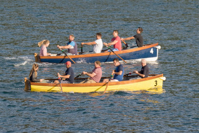 Rowing 04.jpg