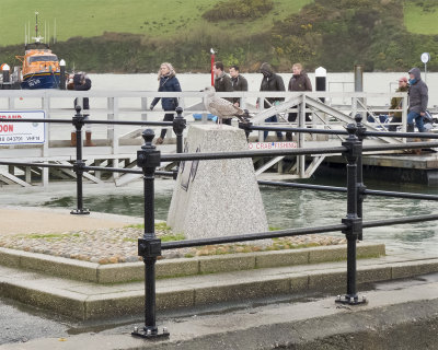 Week 01 - Welcome to Whitestrand - Ferry Passengers - alternative crop.jpg