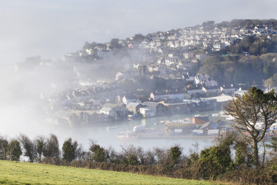 Week 09 - Foggy morning at Shadycombe Creek.jpg