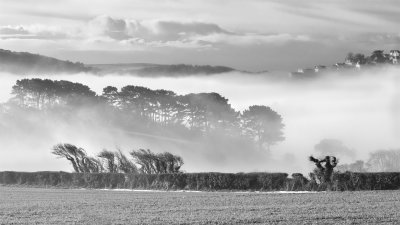 Week 09 - Foggy morning at Snapes Point near Salcombe B  W.jpg
