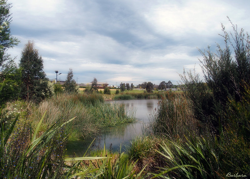 Wetlands