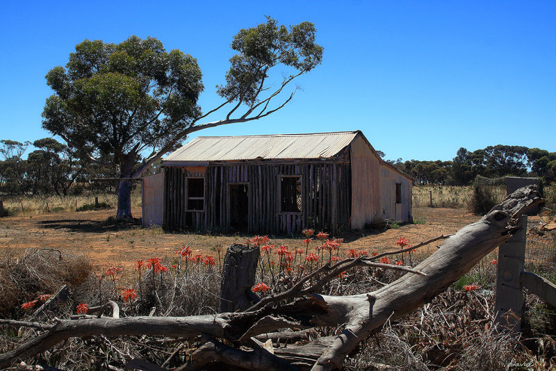 Old Roadside Hut