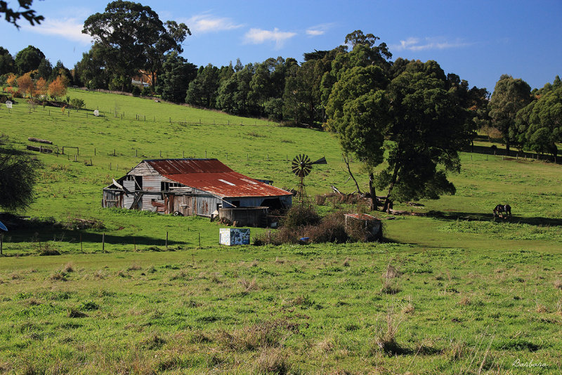 Old Barn