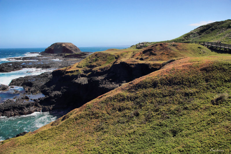Nobbies Rock
