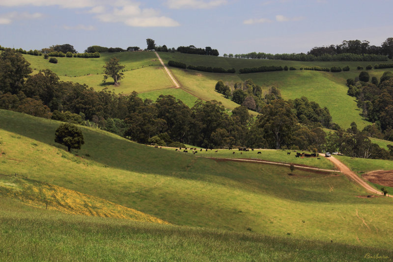 Trafalgar Countryside