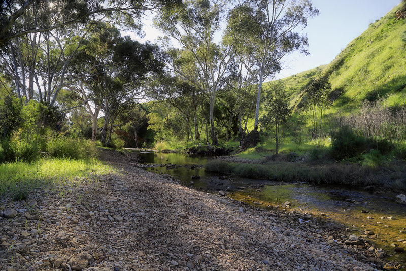 Rocks Reserve