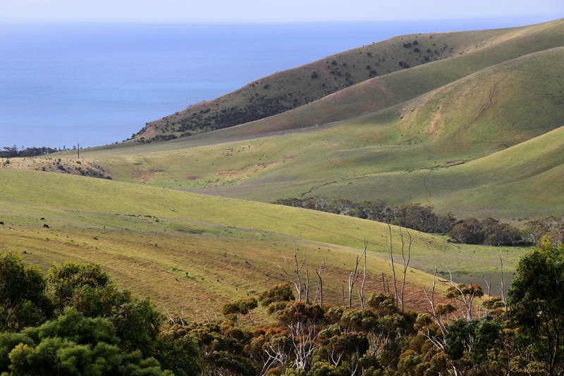 Rapid Bay