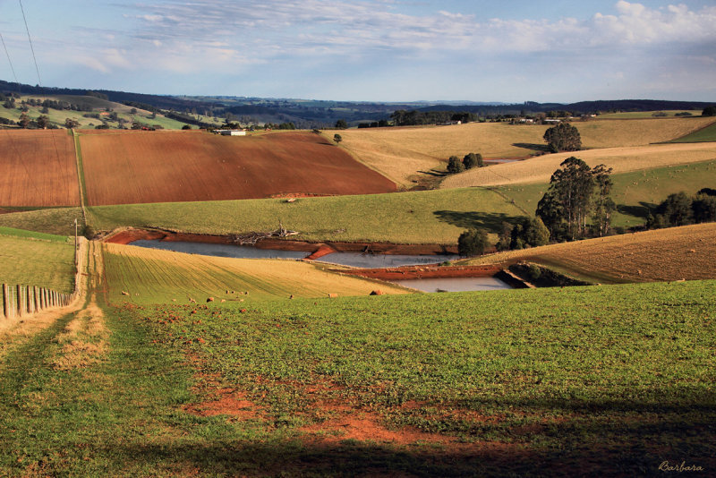 Thorpdale Farmland