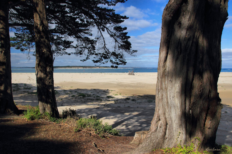 Inverloch Foreshore