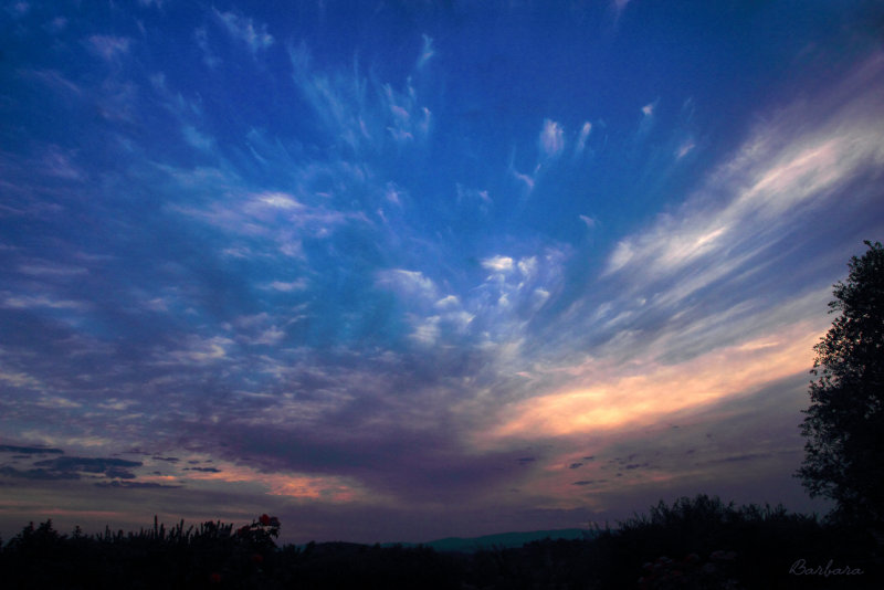 Cirrus Clouds