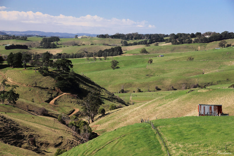  Jumbunna farming country