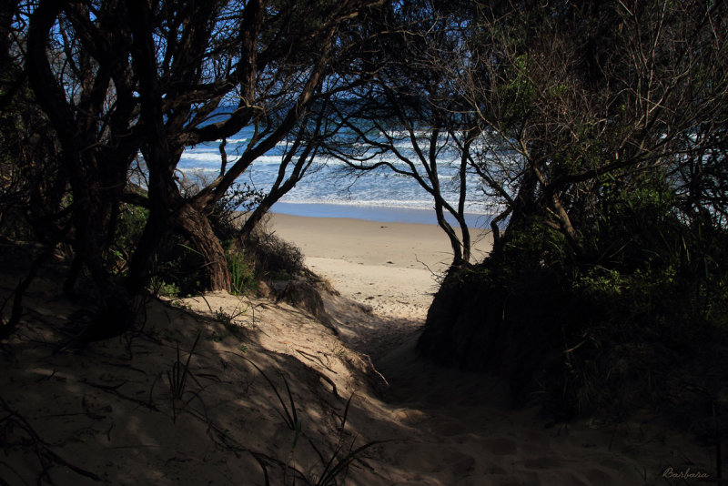 Inverloch Surf Beach