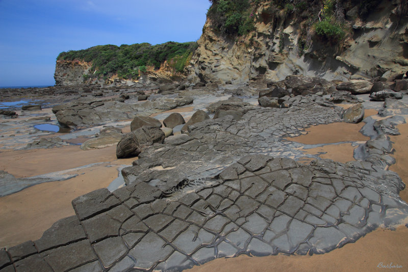 Tessellated Rock Forms