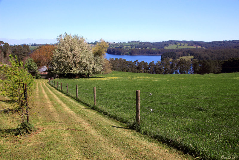 Tarago Reservoir
