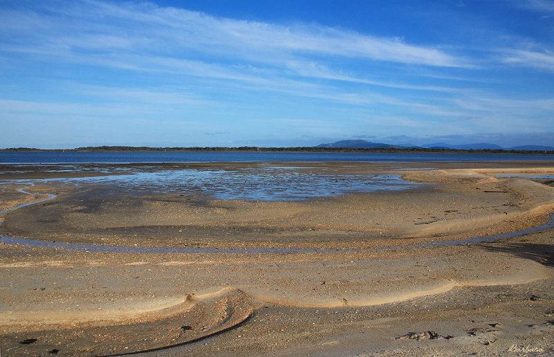 Low Tide