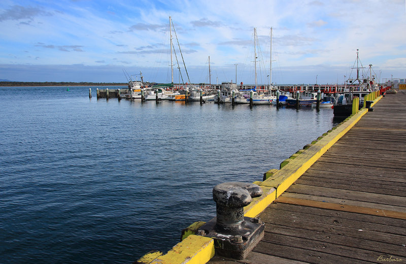 Jetty View