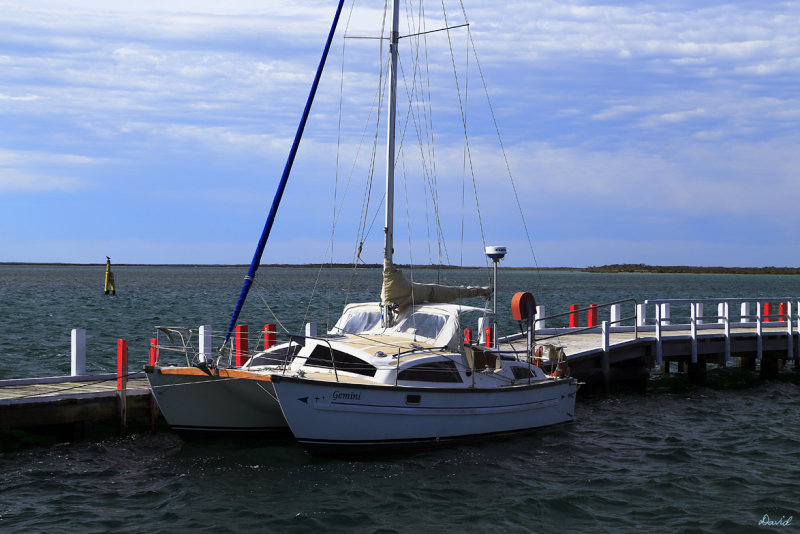 Gemini - Catamaran 